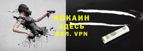 тгк Алзамай