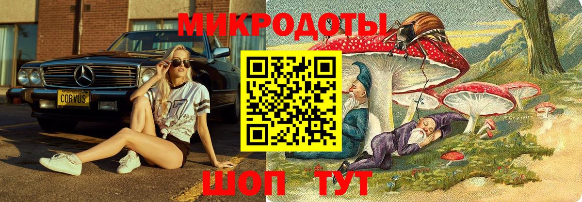 Псилоцибиновые грибы прущие грибы  Вход с VPN  Киржач 