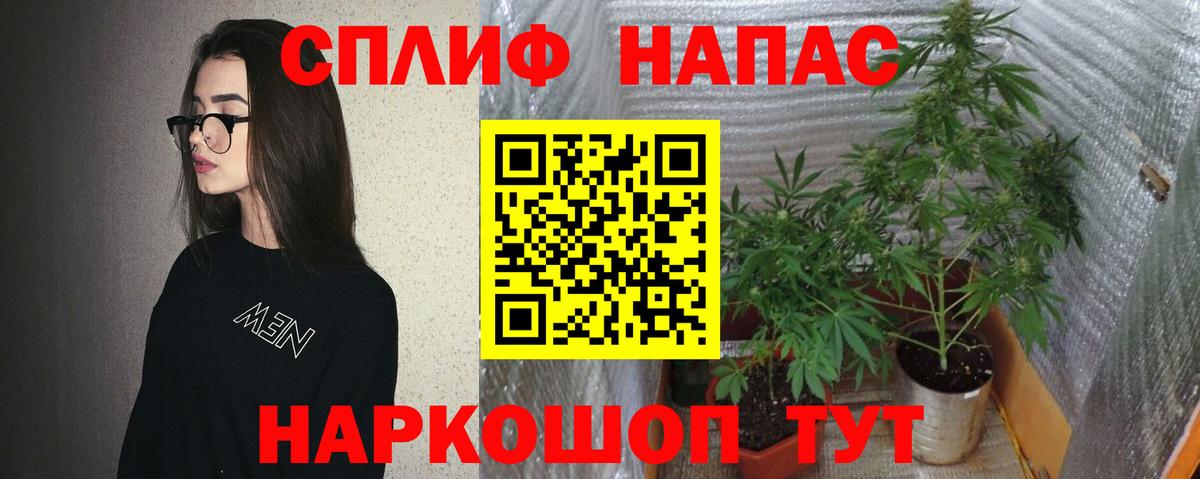 Каннабис SATIVA & INDICA  Каннабис индика  Вход с VPN  Киржач 